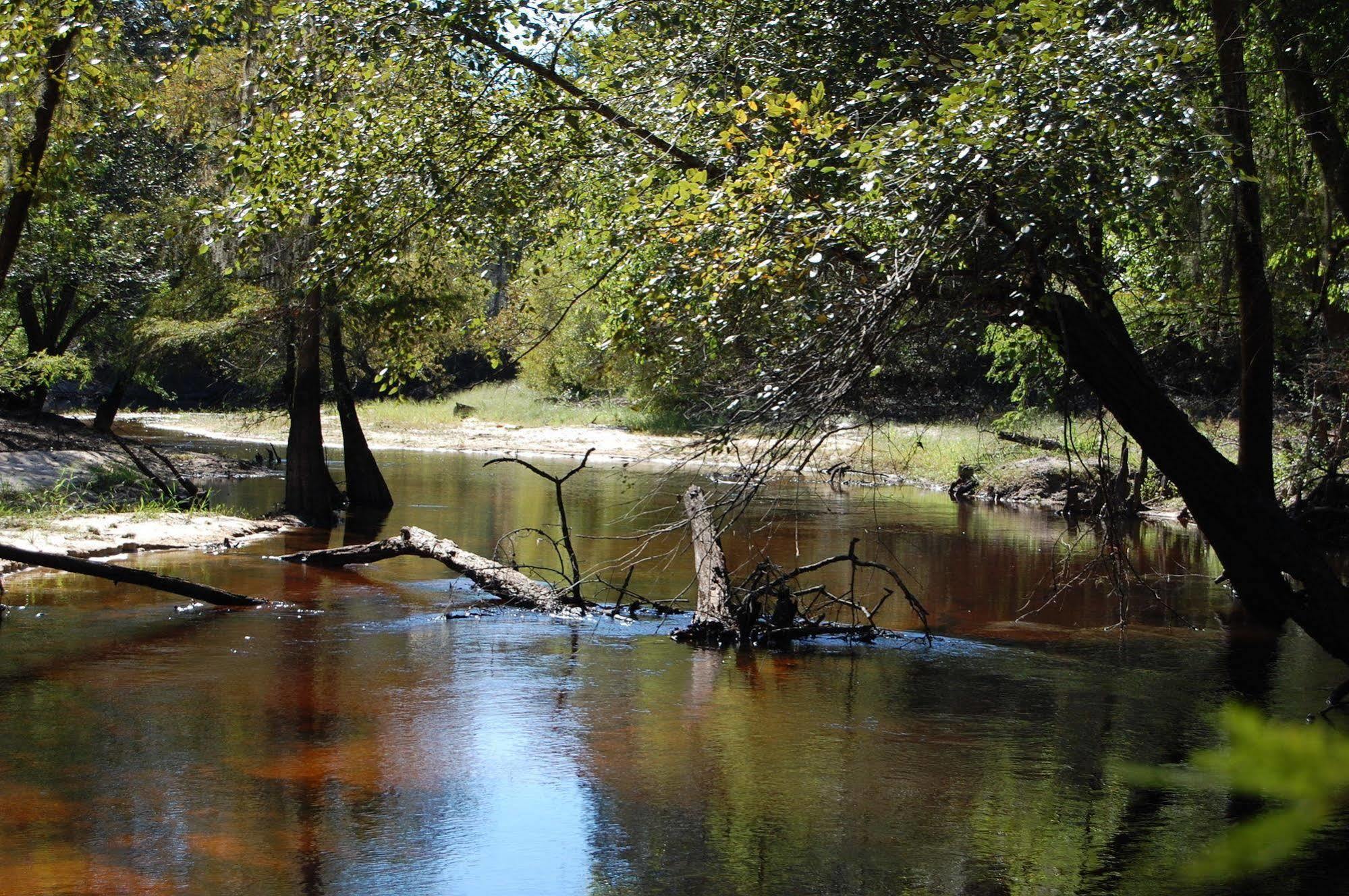 Red Fern Plantation Lodge Statesboro Esterno foto